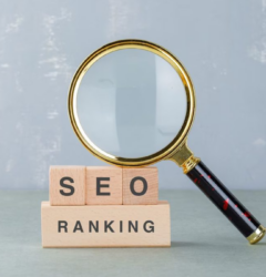 Hireva SEO