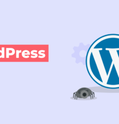 seo & wordpress hireva